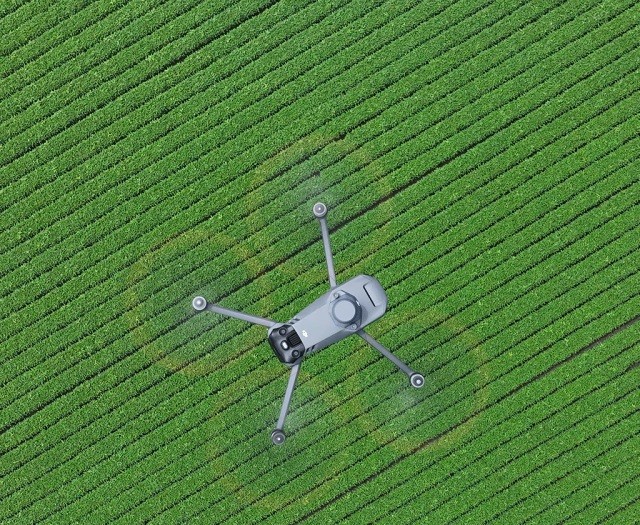 Procesamiento de imágenes de dron propio