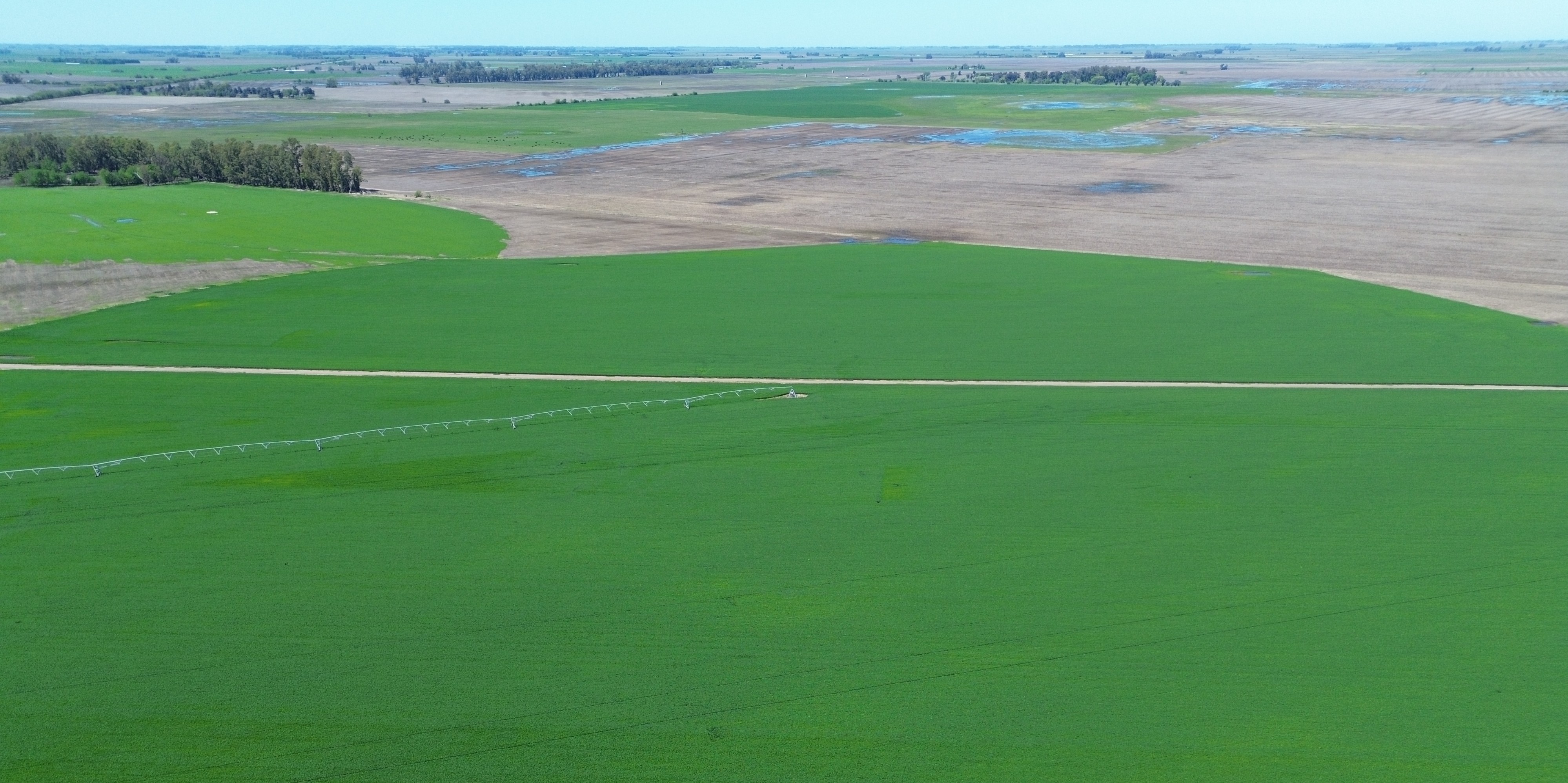 Variabilidad productiva entre sectores de un campo